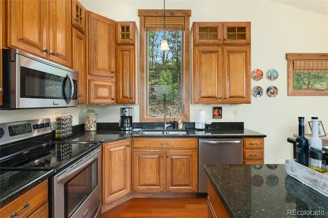 592 Ponderosa Road Alma, CO 80440