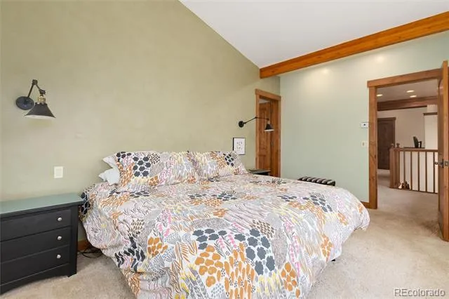 592 Ponderosa Road Alma, CO 80440
