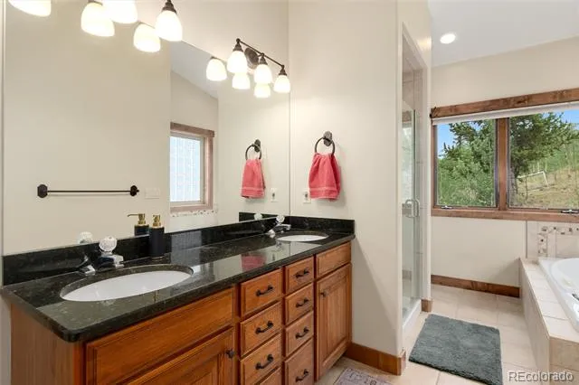 592 Ponderosa Road Alma, CO 80440
