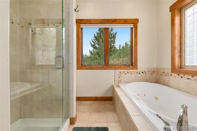 592 Ponderosa Road Alma, CO 80440
