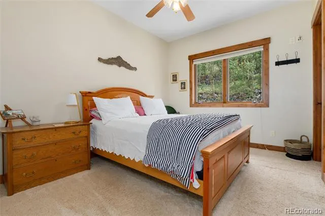 592 Ponderosa Road Alma, CO 80440