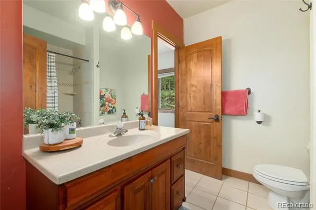 592 Ponderosa Road Alma, CO 80440
