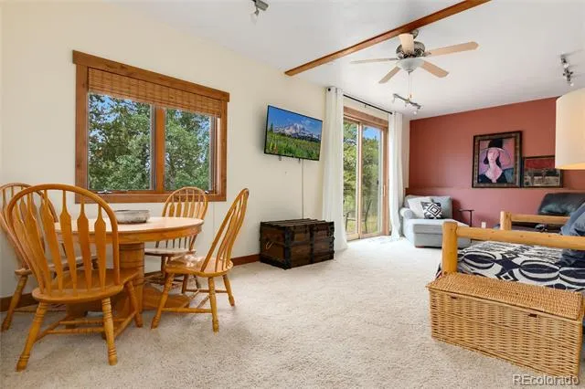 592 Ponderosa Road Alma, CO 80440