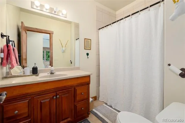 592 Ponderosa Road Alma, CO 80440