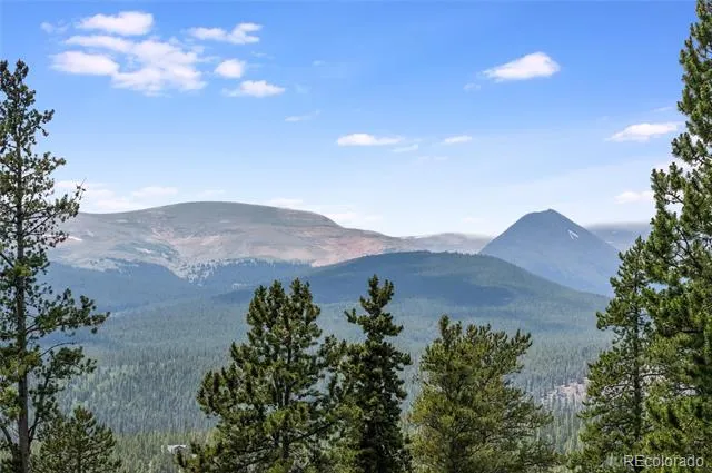 592 Ponderosa Road Alma, CO 80440