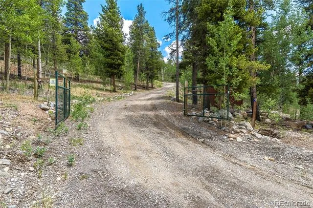 592 Ponderosa Road Alma, CO 80440