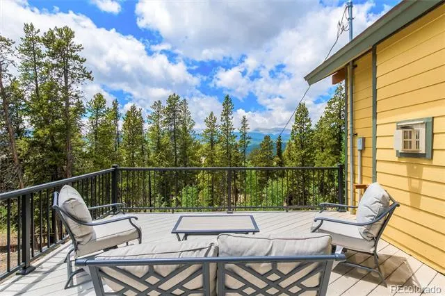 592 Ponderosa Road Alma, CO 80440