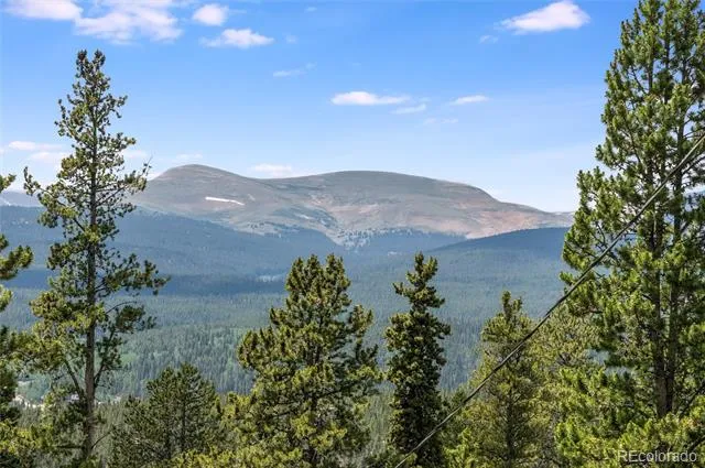 592 Ponderosa Road Alma, CO 80440