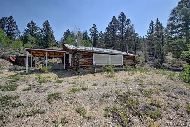 3029 Yankee Blade Granite, CO 81228