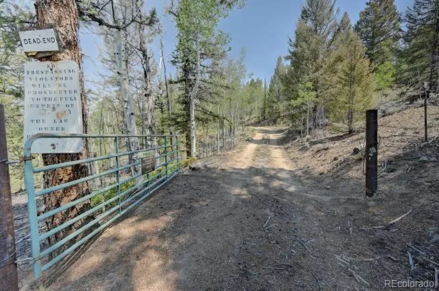 3029 Yankee Blade Granite, CO 81228