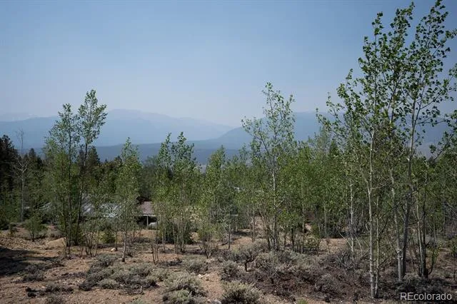 3029 Yankee Blade Granite, CO 81228