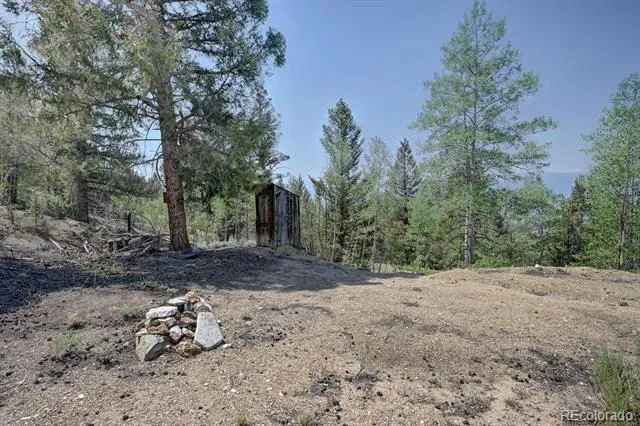 3029 Yankee Blade Granite, CO 81228