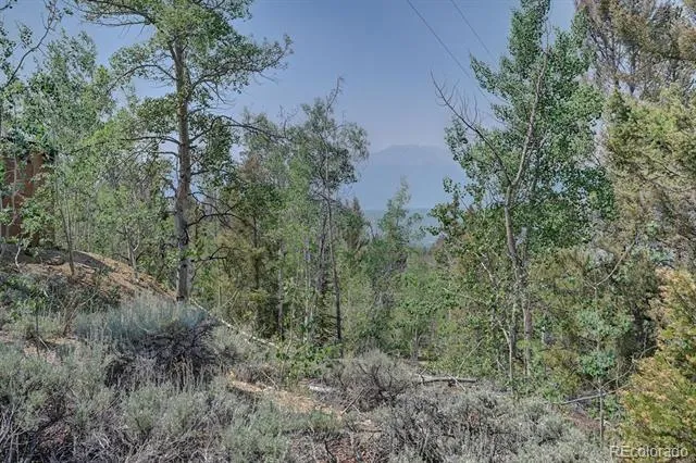 3029 Yankee Blade Granite, CO 81228