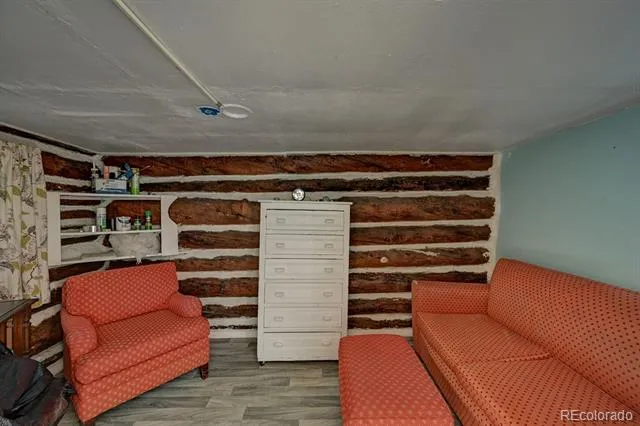 3029 Yankee Blade Granite, CO 81228