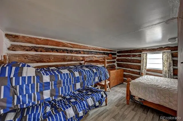 3029 Yankee Blade Granite, CO 81228