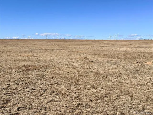 9320 Mulberry Road Calhan, CO 80808