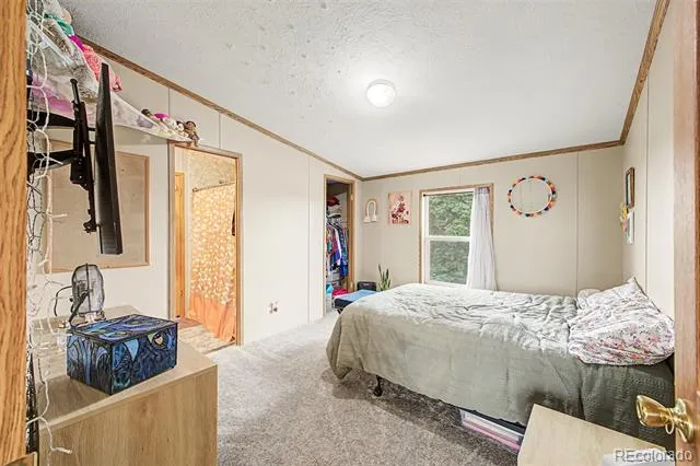 10635 Via Vaquaro Point Fountain, CO 80817