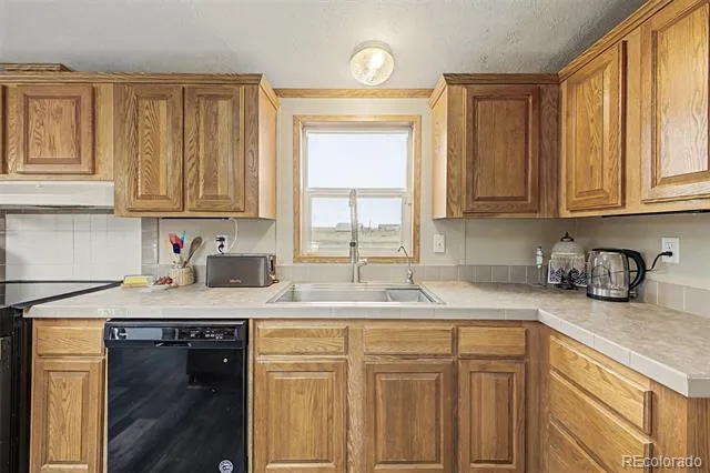 10635 Via Vaquaro Point Fountain, CO 80817