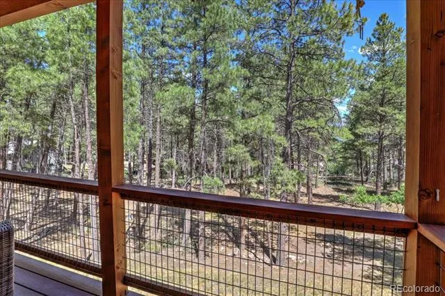 30 Moffat Court Pagosa Springs, CO 81147