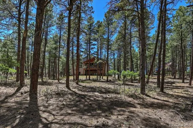 30 Moffat Court Pagosa Springs, CO 81147