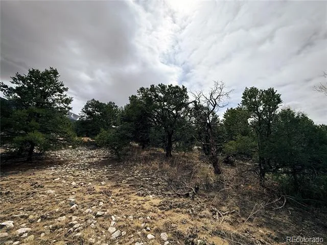 76 Mill Run Road Mosca, CO 81146