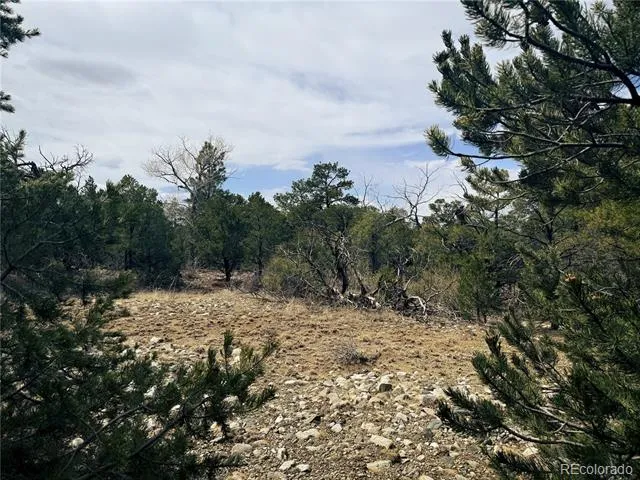 76 Mill Run Road Mosca, CO 81146