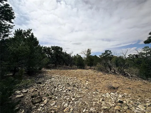 76 Mill Run Road Mosca, CO 81146