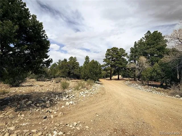 76 Mill Run Road Mosca, CO 81146