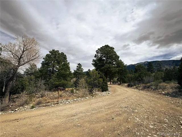 76 Mill Run Road Mosca, CO 81146