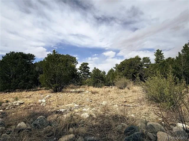 76 Mill Run Road Mosca, CO 81146