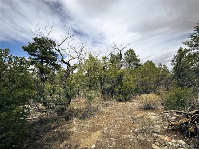 76 Mill Run Road Mosca, CO 81146
