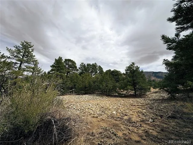 76 Mill Run Road Mosca, CO 81146