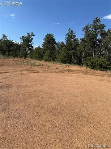 315 Thunder Ridge Road Florissant, CO 80816