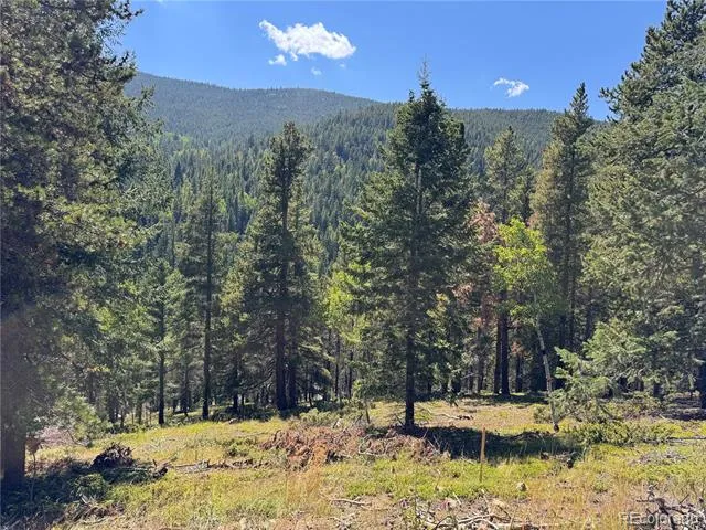 0 Blue Bell Lane Idaho Springs, CO 80452