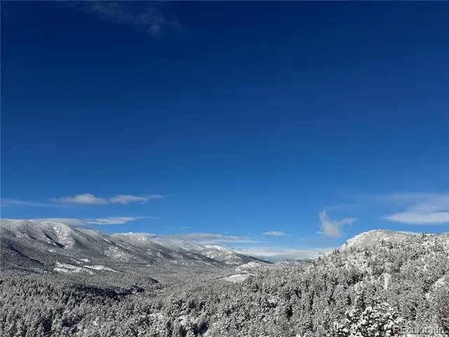 381 Saddle Lane Bailey, CO 80421