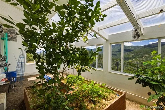 381 Saddle Lane Bailey, CO 80421