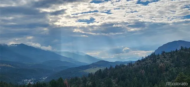 381 Saddle Lane Bailey, CO 80421