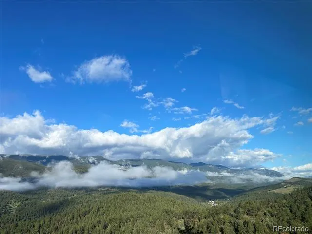 381 Saddle Lane Bailey, CO 80421