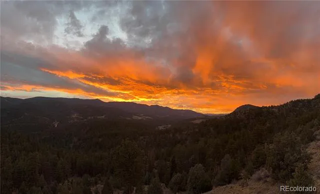 381 Saddle Lane Bailey, CO 80421