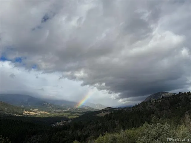 381 Saddle Lane Bailey, CO 80421
