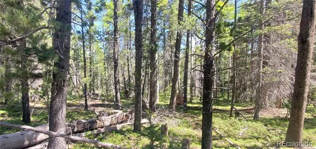 Lot 2914 Forbes Loop Fort Garland, CO 81133