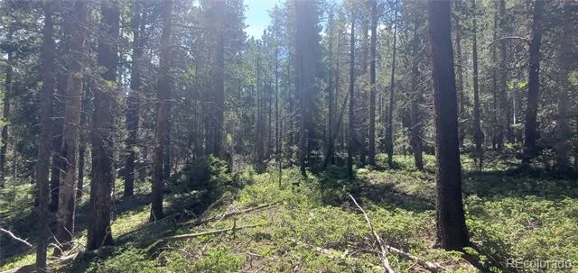 Lot 2914 Forbes Loop Fort Garland, CO 81133