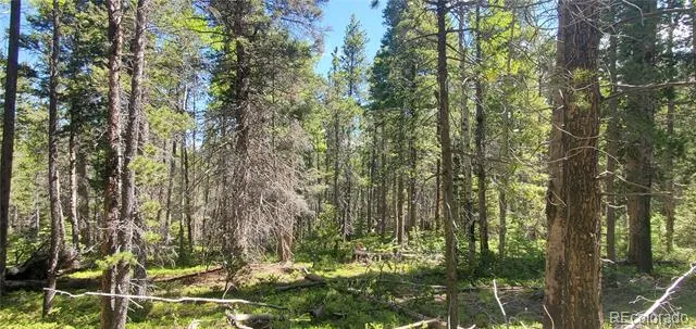 Lot 2914 Forbes Loop Fort Garland, CO 81133