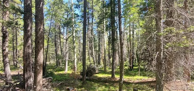 Lot 2914 Forbes Loop Fort Garland, CO 81133