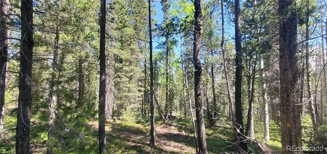 Lot 2914 Forbes Loop Fort Garland, CO 81133