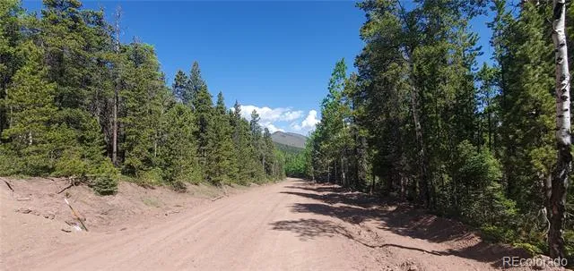 Lot 2914 Forbes Loop Fort Garland, CO 81133