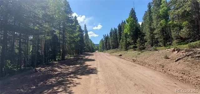 Lot 2914 Forbes Loop Fort Garland, CO 81133