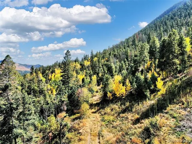 5260 Kulsa Road Cascade, CO 80809