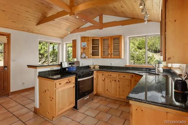 4417 Twinview Court Crestone, CO 81131