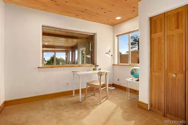 4417 Twinview Court Crestone, CO 81131